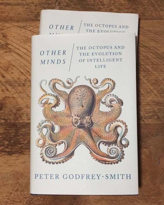 &ldquo;Other minds&rdquo; book cover