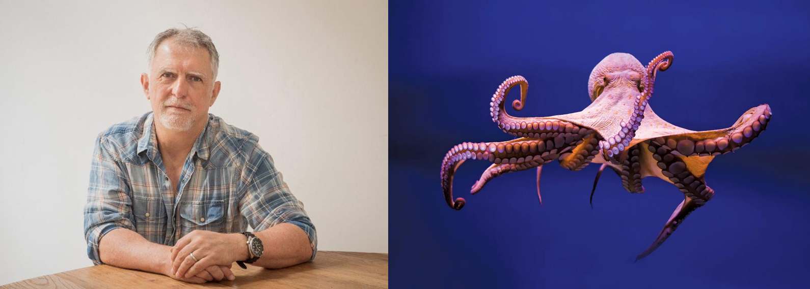Peter Godfrey-Smith is not an octopus.